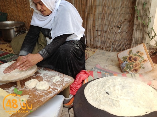 Jammarkarjzaw (10).jpg